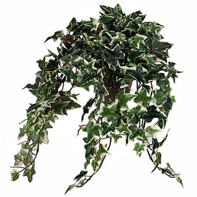 Kunstplant Hedera Groen-bont - L 45cm - Keramiek sierpot - Mica Decorations