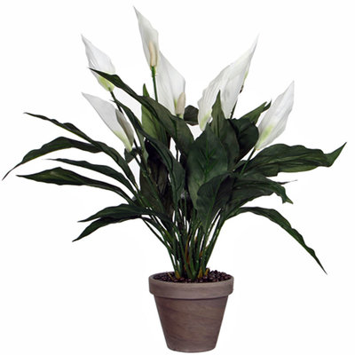 Künstliche Pflanze Spathiphyllum Weiß - H 50cm - Keramiktopf - Mica Decorations