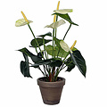 Künstliche Pflanze Anthurium Weiß - H 40cm - Keramiktopf - Mica Decorations