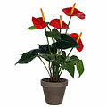 Kunstplant Anthurium Rood - H 40cm - Keramiek sierpot - Mica Decorations