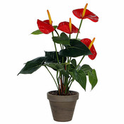 Künstliche Pflanze Anthurium Rot - H 40cm - Keramiktopf - Mica Decorations