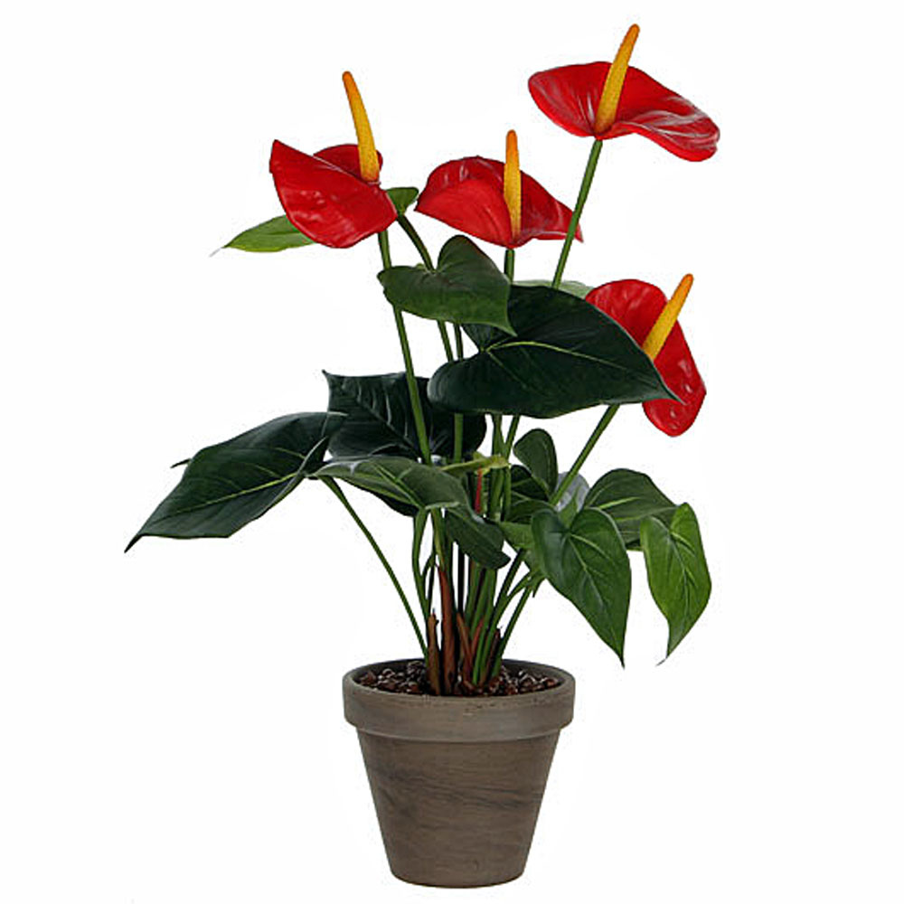 Shop Künstliche Pflanze - H 40cm New - Mica Online Rot Anthurium Decorat - - Day Keramiktopf Plant