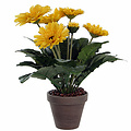 Künstliche Pflanze Gerbera Gelb - H 35cm - Keramiktopf - Mica Decorations