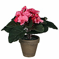 Künstliche Pflanze Saintpaulia Rosa - H 20cm - Keramiktopf - Mica Decorations