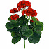 Kunstplant Geranium Rood - Steker H 35cm - Mica Decorations