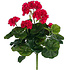 Künstliche Pflanze Geranie Dunkelrosa - Stecker H 35cm - Mica Decorations