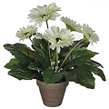 Künstliche Pflanze Gerbera Weiß - H 35cm - Keramiktopf - Mica Decorations