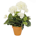 Kunstplant Geranium crème-wit - H 34cm - Keramiek sierpot - Mica Decorations