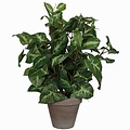Künstliche Pflanze Syngonium Grün - H 35 cm - Keramiktopf - Mica Decorations