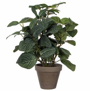 Künstliche Pflanze Pilea Grün - H 35 cm - Keramiktopf - Mica Decorations