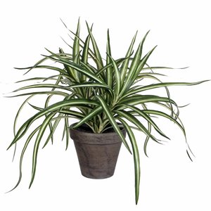 Kunstplant Dracaena Groen-bont - H 34cm - Keramiek sierpot - Mica Decorations