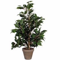 Kunstplant Ficus Exotica Groen - H 65cm - Keramiek sierpot - Mica Decorations