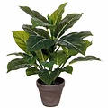 Kunstplant Evergreen Groen - H 50cm - Keramiek sierpot - Mica Decorations