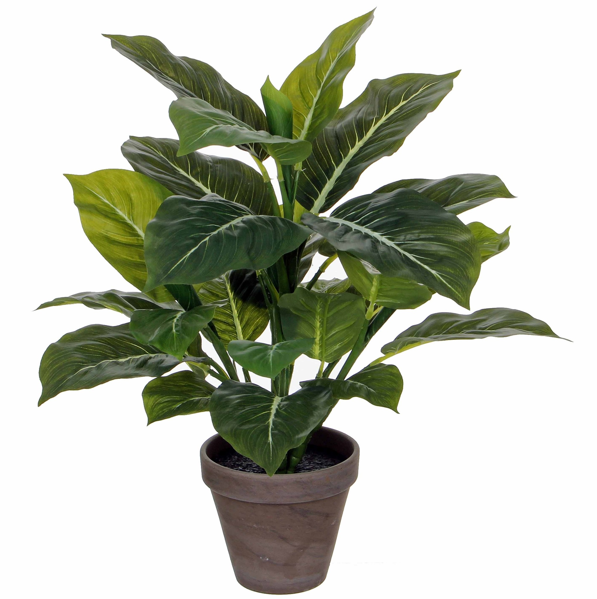 Ritmisch Fractie Inspiratie Shop Kunstplant Evergreen Groen - H 50cm - Keramiek sierpot - Mica Decorati  Online - Plant New Day