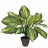 Kunstplant Hosta Groen - H 50cm - Keramiek sierpot - Mica Decorations