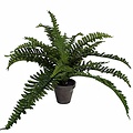 Kunstplant Varen Boston groen - H 35cm - Keramiek sierpot - Mica Decorations