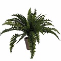 Künstliche Pflanze Farn Boston Grün - H 45cm - Keramiktopf - Mica Decorations