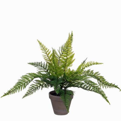 Kunstplant Varen Groen - H 40cm - Keramiek sierpot - Mica Decorations