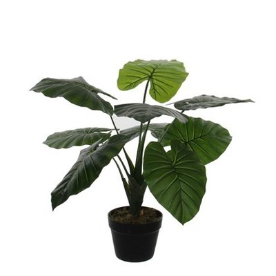 Kunstplant Taro Groen - H 60cm - Kunststof pot - Mica Decorations
