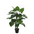 Kunstplant Taro Groen - H 120cm - Kunststof pot - Mica Decorations