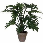 Kunstplant Philodendron Selloum Groen - H 50cm - Keramiek sierpot - Mica Decorations