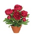 Kunstplant Pioenroos donker roze - H 50cm - Terracotta sierpot - Mica Decorations