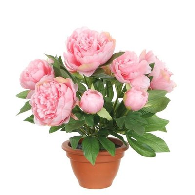 Künstliche Pflanze Pfingstrose Rosa - H 50 cm - Terrakottatopf - Mica Decorations