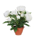 Künstliche Pflanze Pfingstrose Weiß - H 50 cm - Terrakottatopf - Mica Decorations