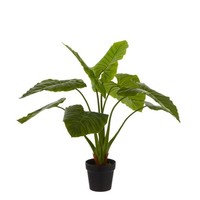 Kunstplant Taro Groen - H 100cm - Kunststof pot - Mica Decorations