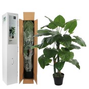Künstliche Pflanze Taro Grün - H 120cm - Kunststofftopf - Mica Decorations