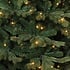 Sherwood DELUXE LED - Groen - Triumph Tree kunstkerstboom