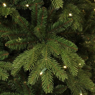 Brampton Spruce LED - Grün - BlackBox künstlicher Weihnachtsbaum