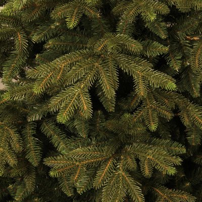 Macallan Pine - Grün - BlackBox künstlicher Weihnachtsbaum