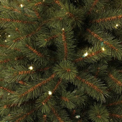 Kingston Pine Slim (schmal) LED - Grün - BlackBox künstlicher Weihnachtsbaum