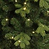 Milton Spruce LED - Grün - BlackBox künstlicher Weihnachtsbaum