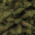 Kingston Pine Deluxe - Grün - BlackBox künstlicher Weihnachtsbaum