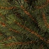 Kingston Pine Deluxe - Groen - BlackBox kunstkerstboom