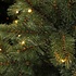 Forest Frosted Pine LED - Groen - Triumph Tree kunstkerstboom