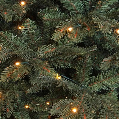 Frasier Fir LED - Blau-Grün - BlackBox künstlicher Weihnachtsbaum