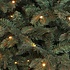 Frasier Fir LED - Blau-Grün - BlackBox künstlicher Weihnachtsbaum