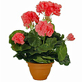 Kunstplant Geranium Zalm - H 32cm - Terracotta sierpot - Mica Decorations