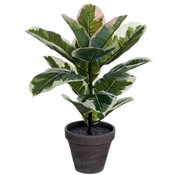 Kunstplant Ficus 'Elastica' Groen - H 47cm - Keramiek sierpot - Mica Decorations