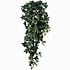 Kunstplant Hedera Groen - Steker L 80cm - Mica Decorations