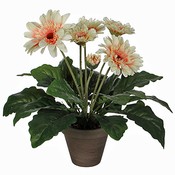 Kunstplant Gerbera Crème - H 35cm - Keramiek sierpot - Mica Decorations