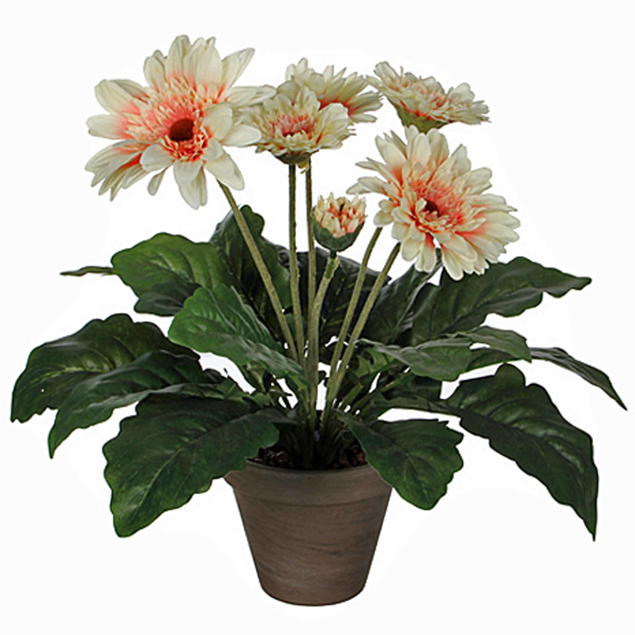 Knstliche Pflanze Gerbera Creme - H 35cm - Keramiktopf - Mica Decorations