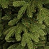 Brampton Spruce - Groen - BlackBox kunstkerstboom