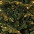 Frasier Fir LED - Groen - BlackBox kunstkerstboom