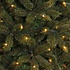 Bristlecone LED - Groen - Triumph Tree kunstkerstboom