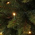 Bristlecone LED - Grün - Triumph Tree künstlicher Weihnachtsbaum