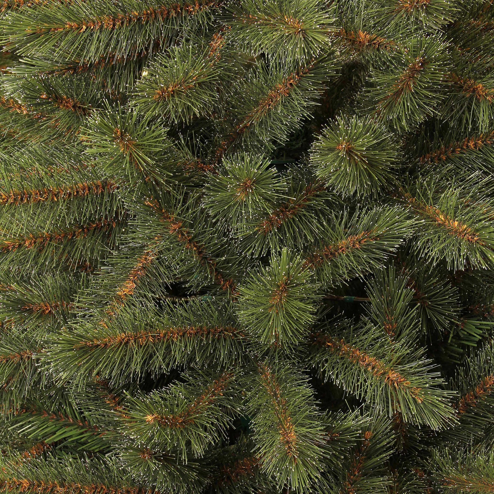 Shop Toronto Deluxe - Grün - BlackBox künstlicher Weihnachtsbaum Online -  Plant New Day